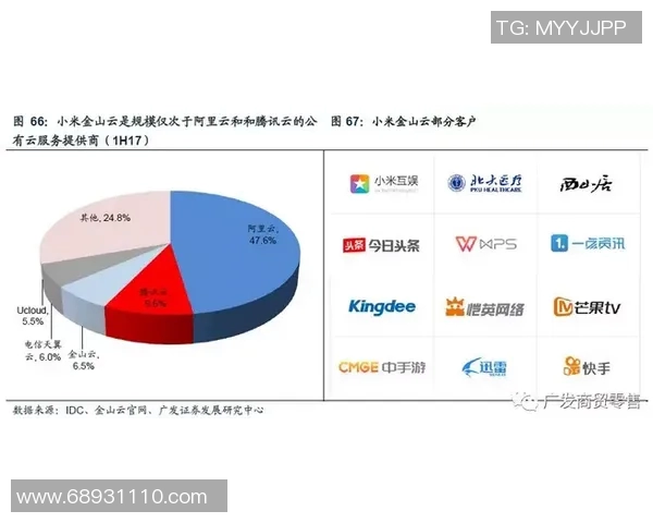重庆排球队的运营模式与发展策略深度解析